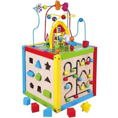Игрушка Viga Toys "Занимательный кубик" (58506)